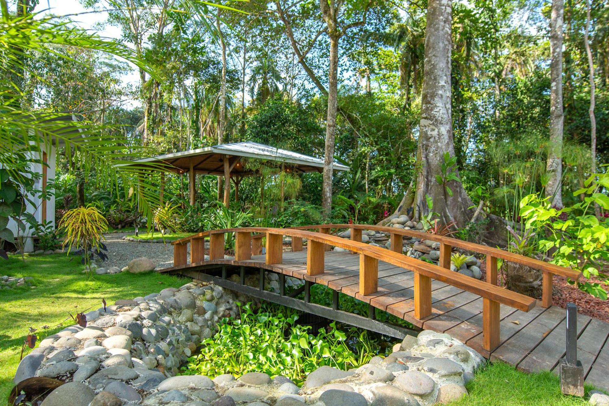 Dragonfly Beachfront Villas-Adult Only Punta Uva Ngoại thất bức ảnh
