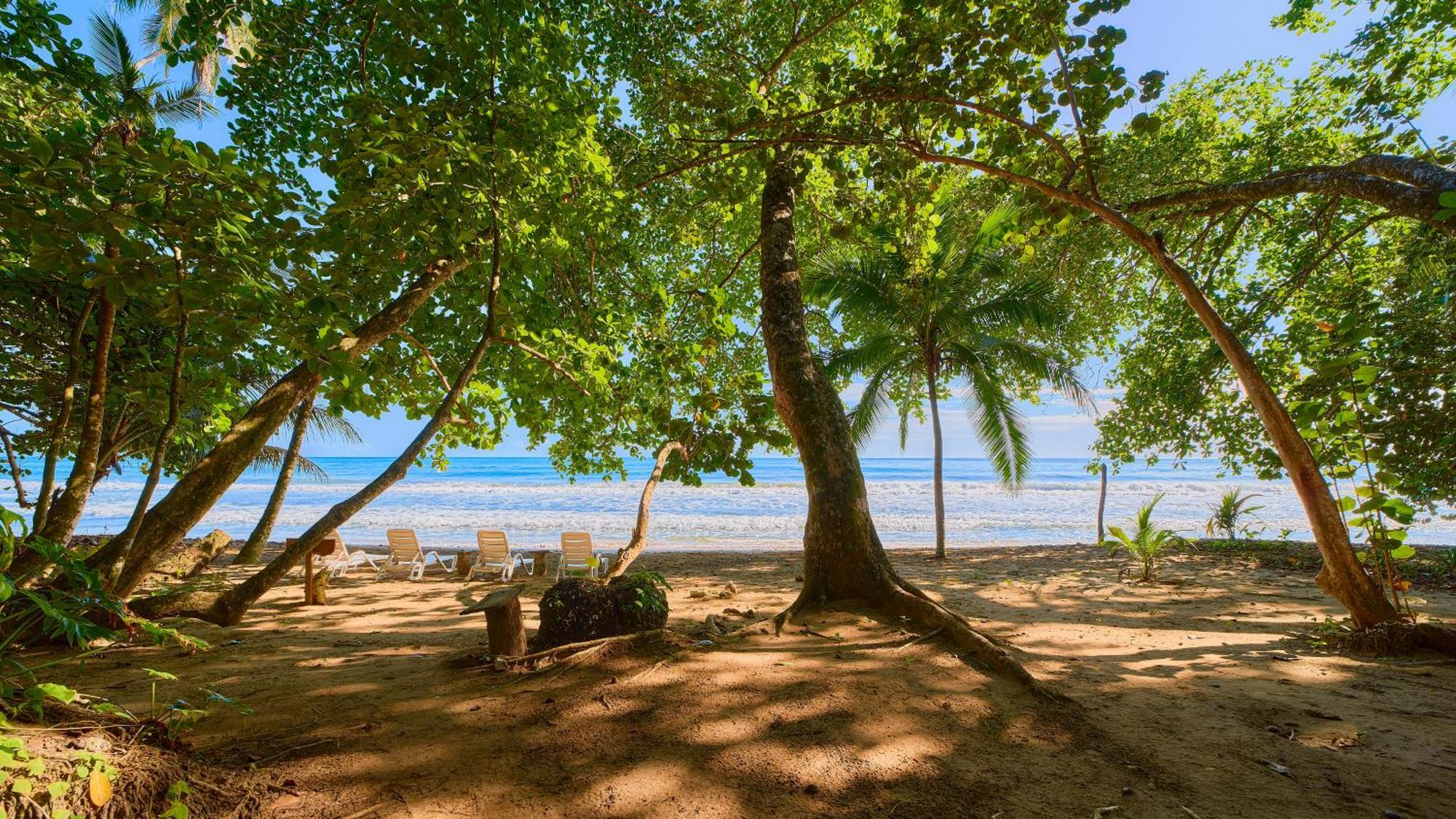 Dragonfly Beachfront Villas-Adult Only Punta Uva Ngoại thất bức ảnh