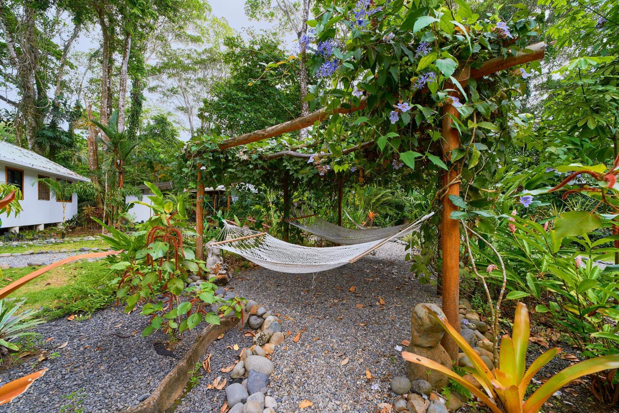 Dragonfly Beachfront Villas-Adult Only Punta Uva Ngoại thất bức ảnh
