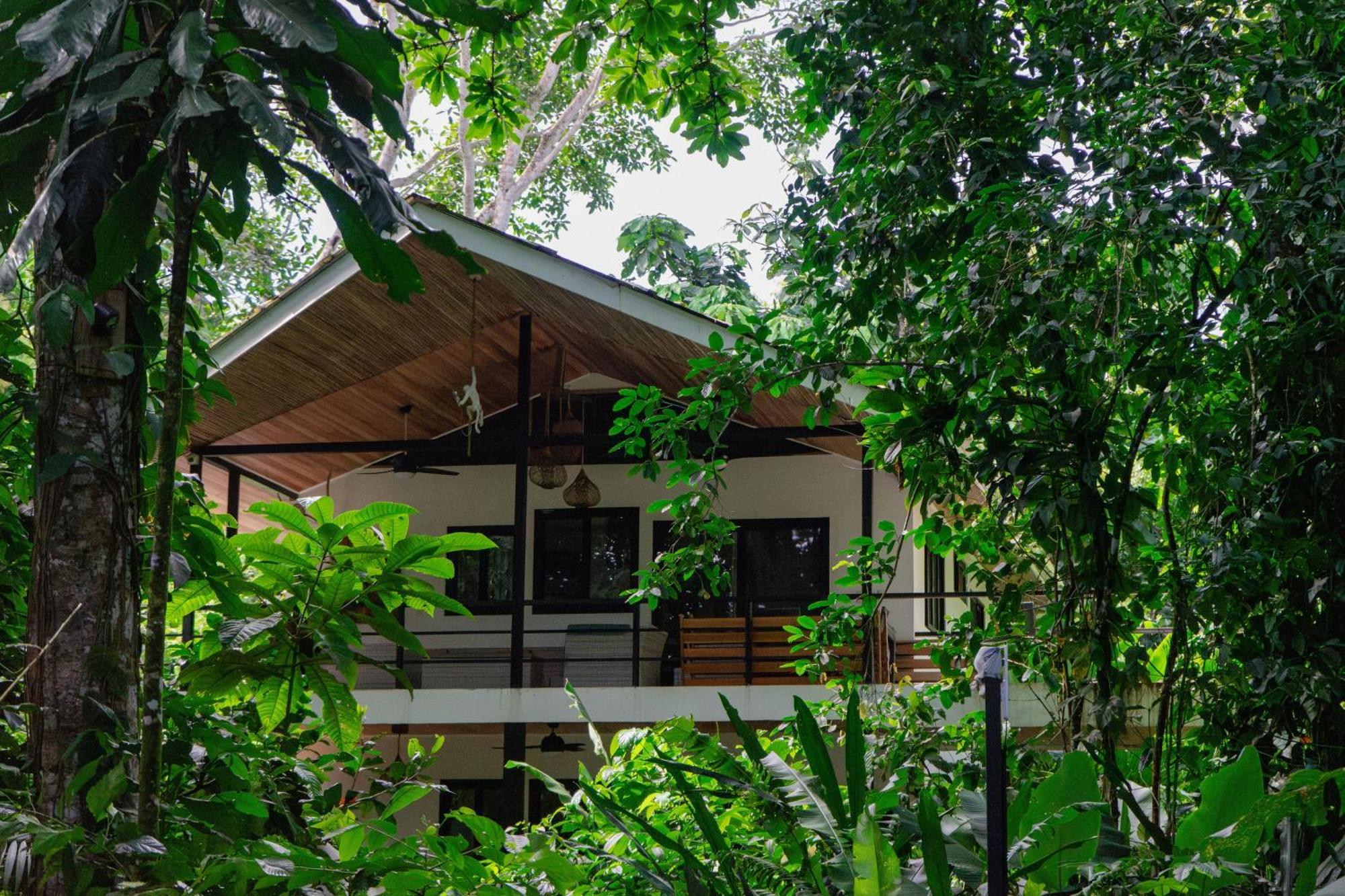 Dragonfly Beachfront Villas-Adult Only Punta Uva Ngoại thất bức ảnh